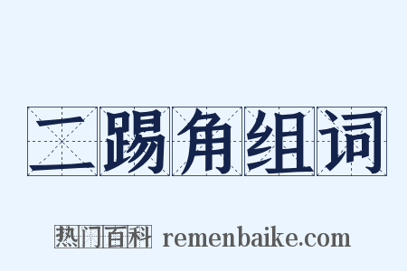 二踢角组词是什么意思的图片